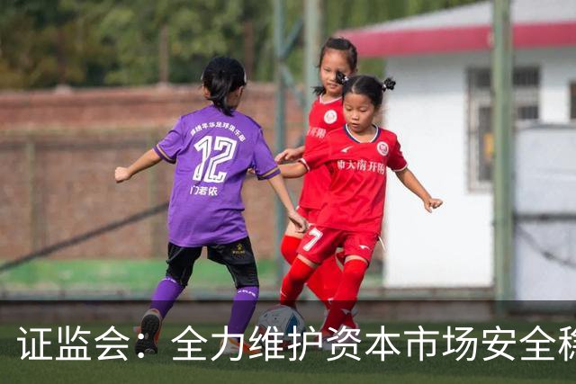 证监会：全力维护资本市场安全稳定